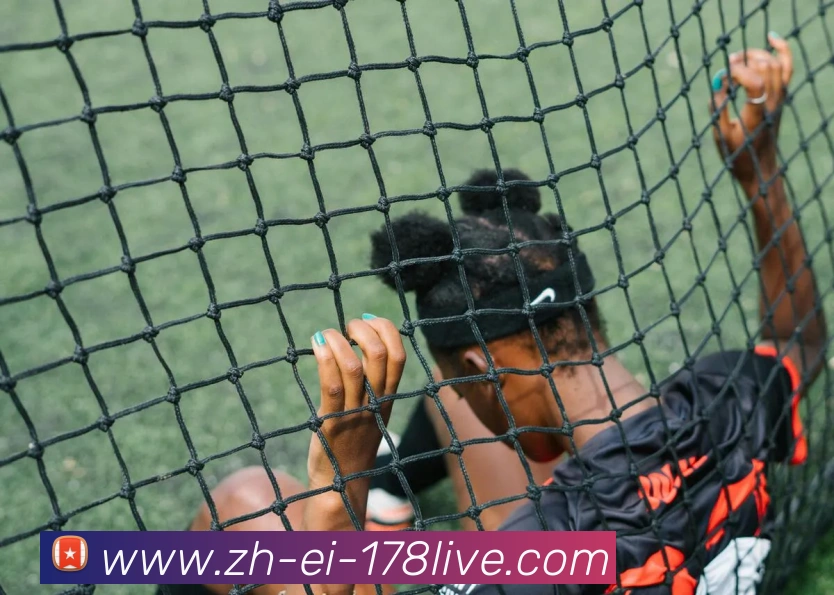 178体育直播品牌故事