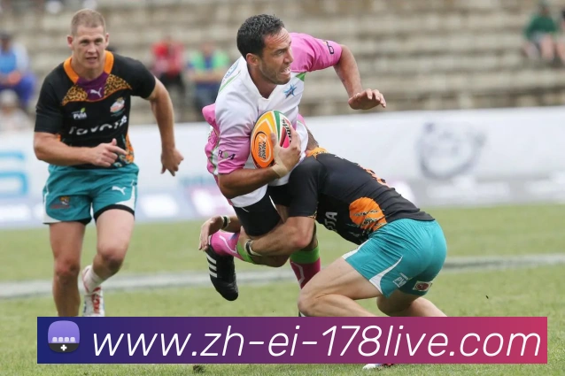 178体育直播服务体系